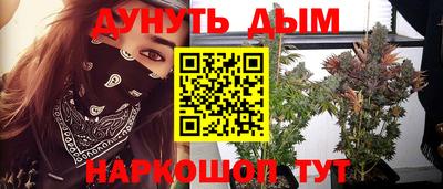 мдпв Кизилюрт