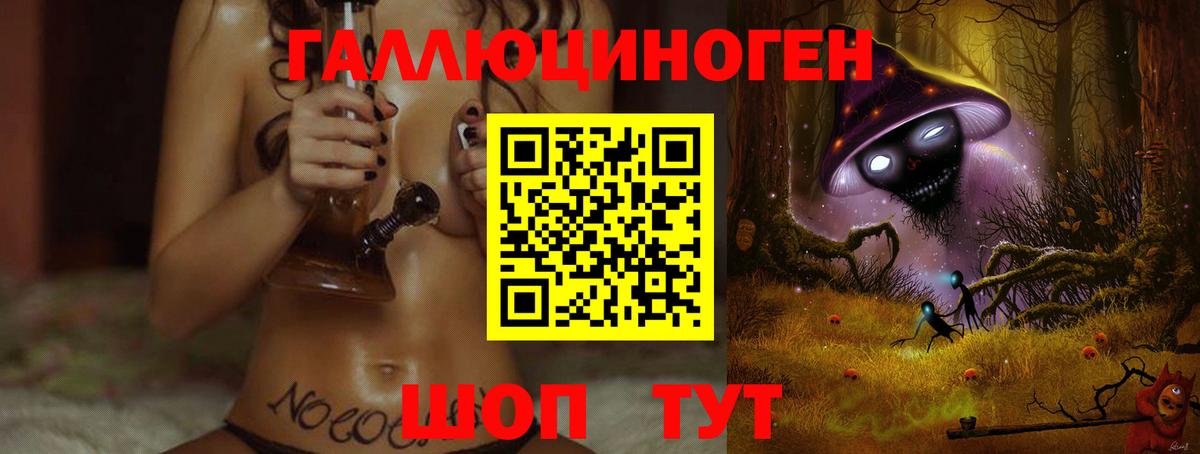 Елец  Галлюциногенные грибы Psilocybe  Вход с VPN 